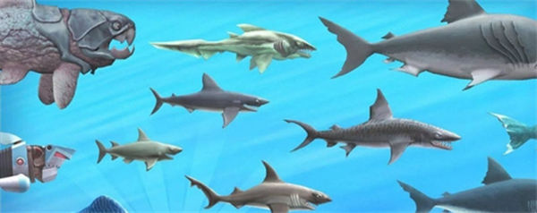 饥饿鲨进化琵琶鱼位置在哪