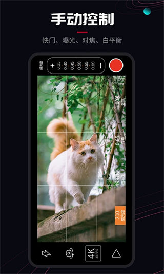 ProMovie安卓app下载手机版