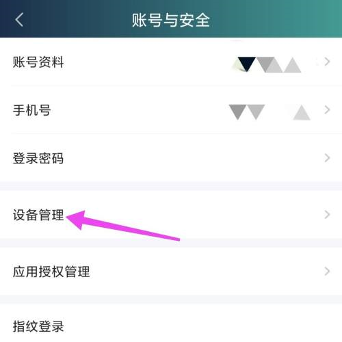 爱奇艺怎么设置主设备