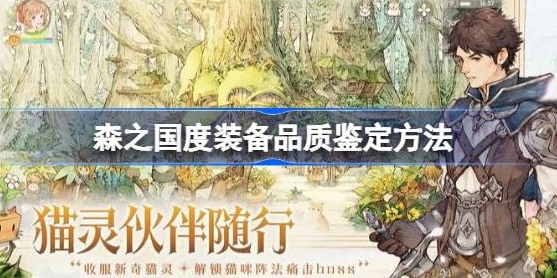 森之国度装备品质鉴定方法一览-森之国度装备品质鉴定方法有哪些