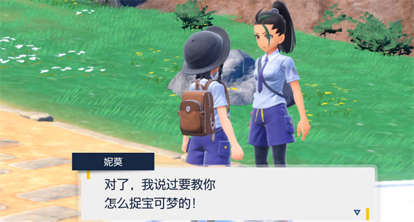 宝可梦朱紫妮莫对战次数介绍